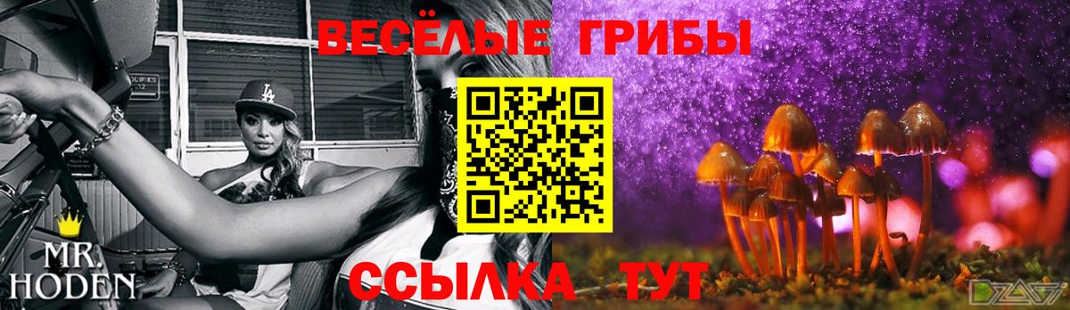 Галлюциногенные грибы Psilocybine cubensis Ухта